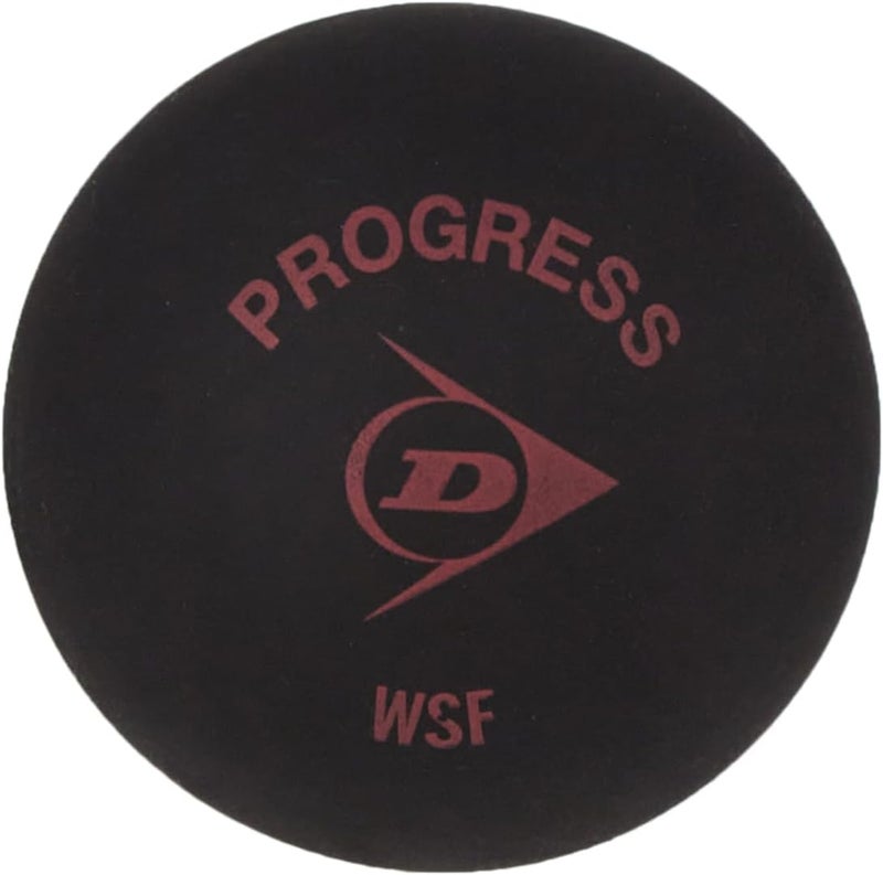 Dunlop Sports Squash Ball, Red, Standard Size - Image 1